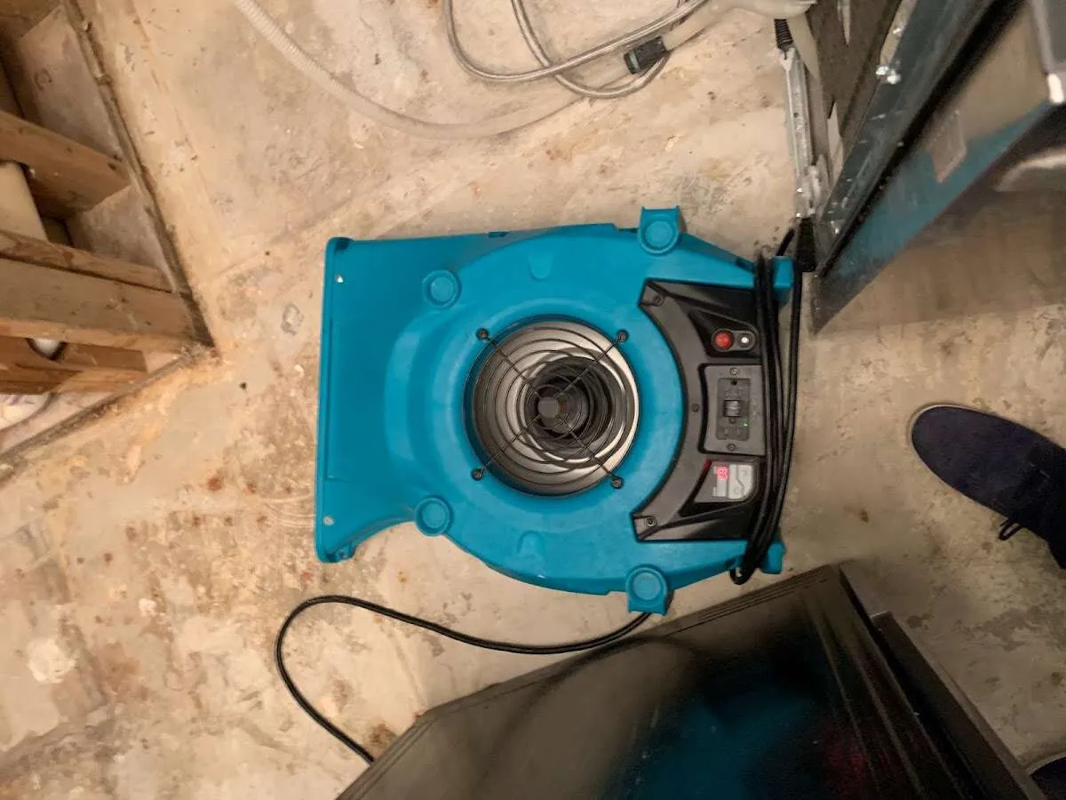 Air mover drying equipment for Mold Remediation & Removal in Dallas